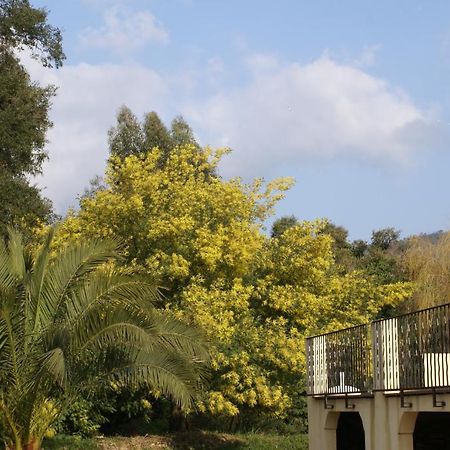 Jardins D'Antalya Bed & Breakfast Гримо Екстериор снимка
