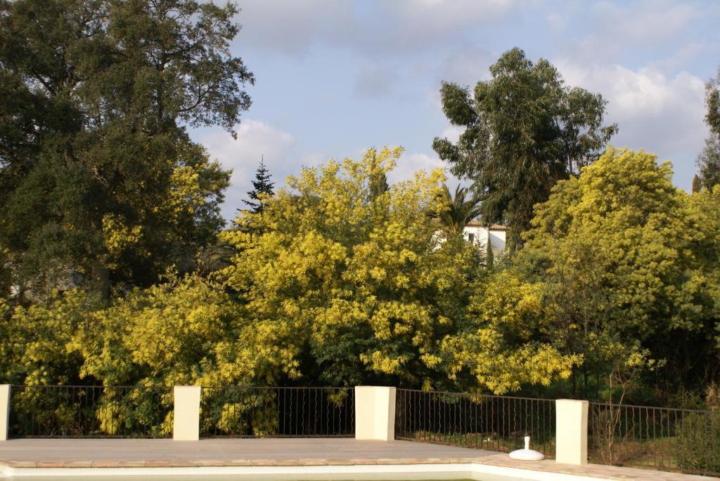 Jardins D'Antalya Bed & Breakfast Гримо Екстериор снимка